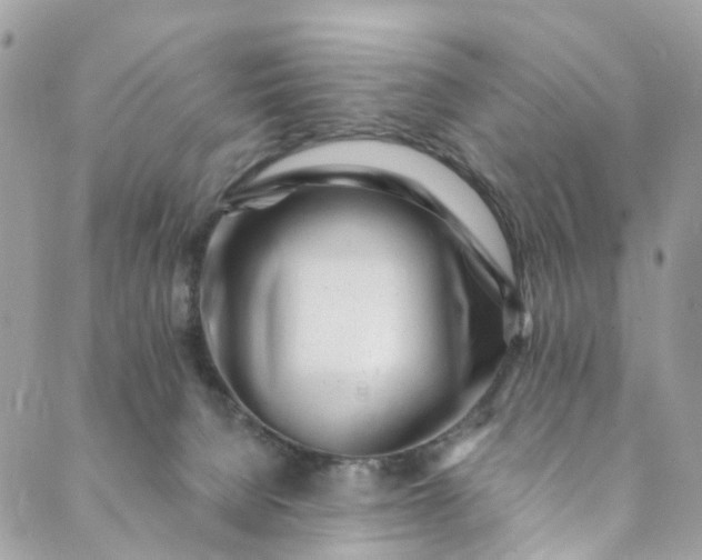 X0000089430080200706291325