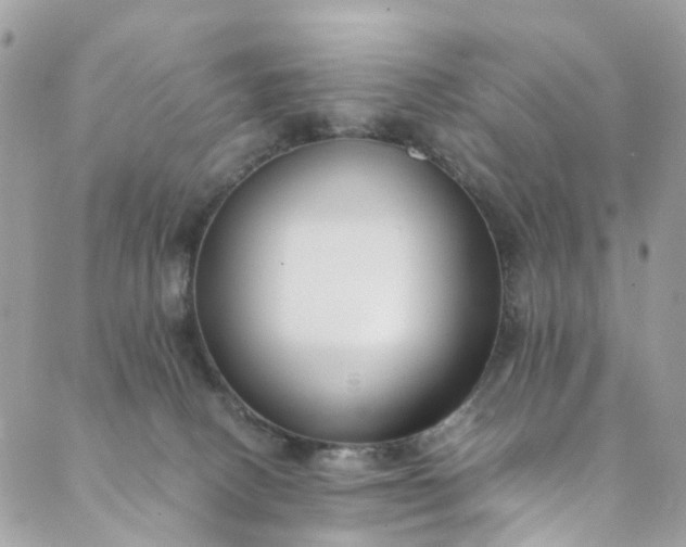 X0000089430082200706291325