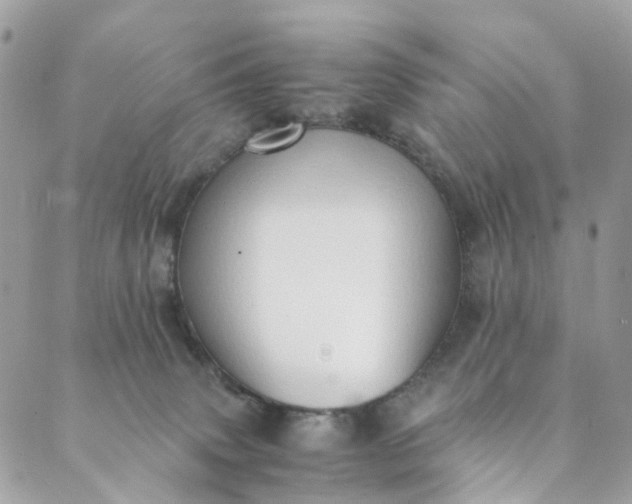 X0000089430083200706291325