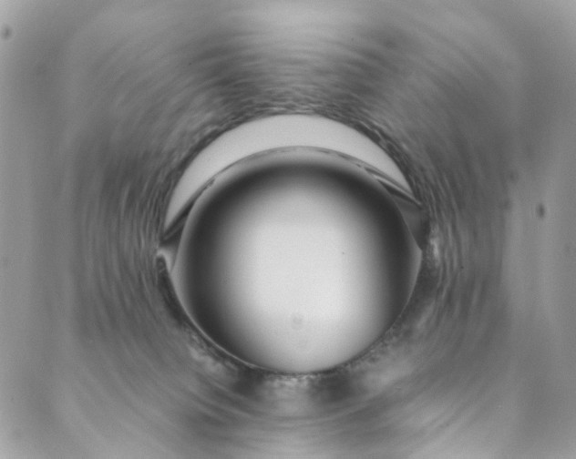 X0000089430084200706291325