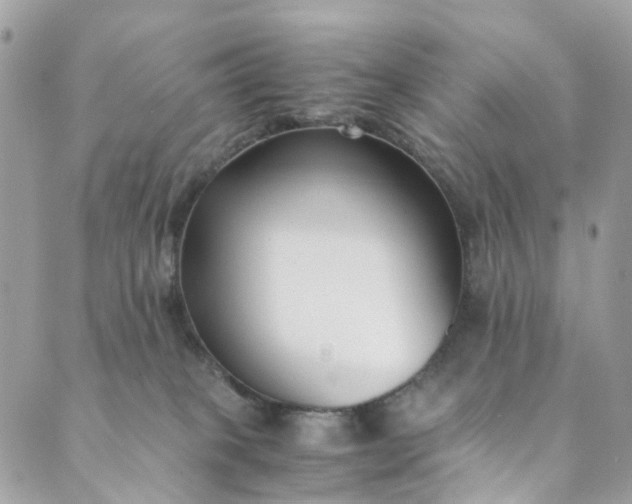 X0000089430085200706291325