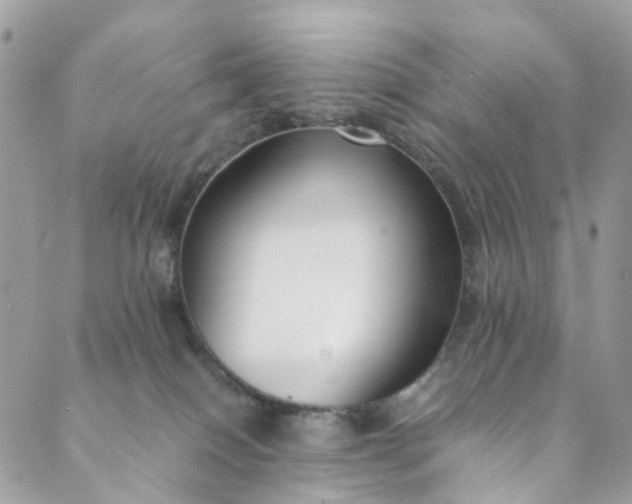 X0000089430086200706291325