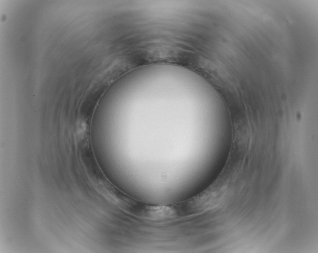 X0000089430087200706291325