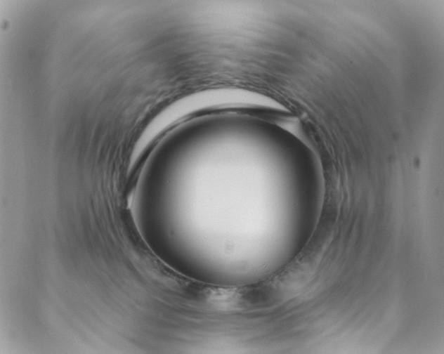 X0000089430088200706291325