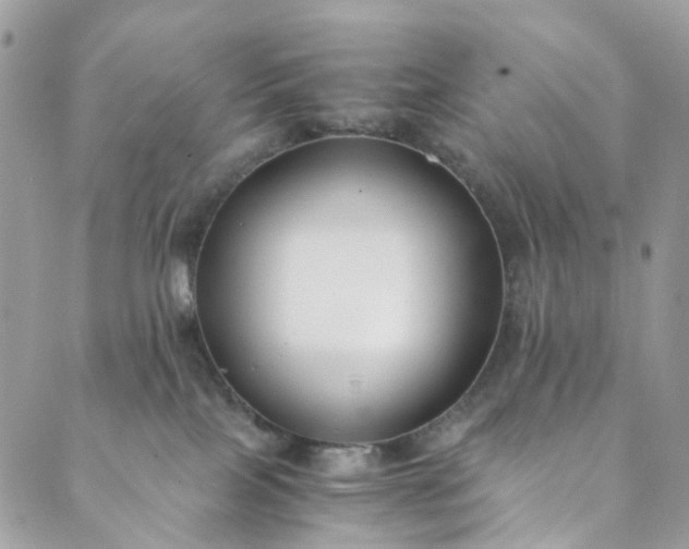 X0000089430089200706291325