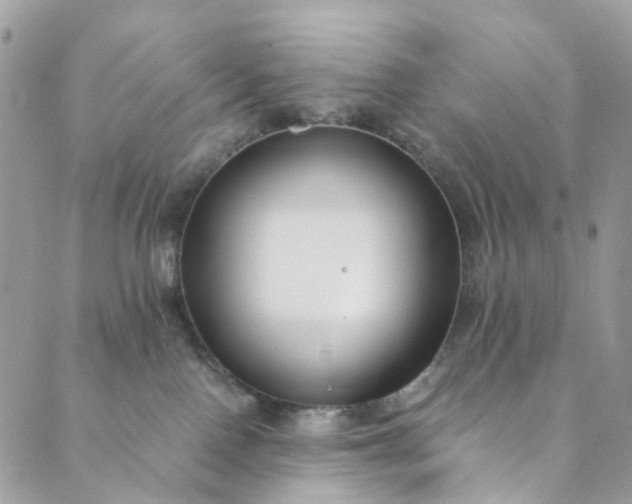 X0000089430090200706291325