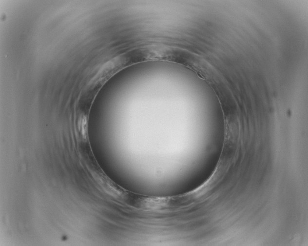 X0000089430094200706291325