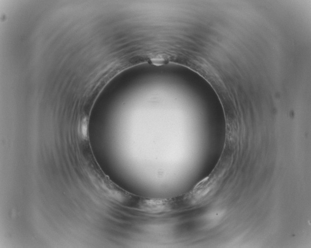 X0000089430095200706291325