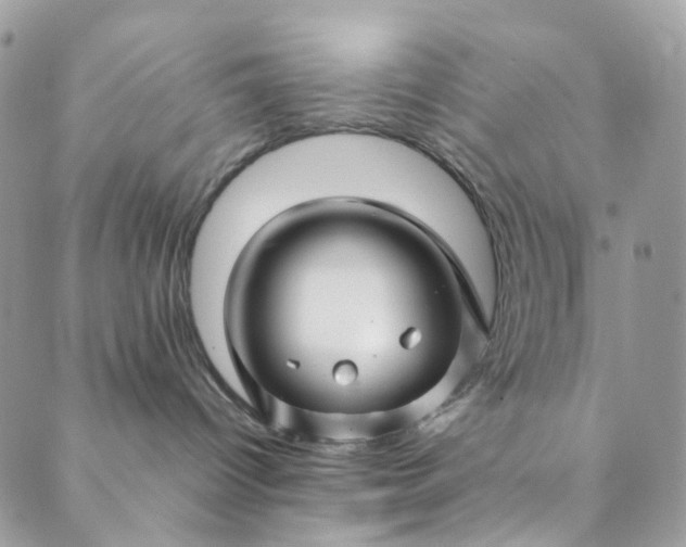 X0000089430096200706291325