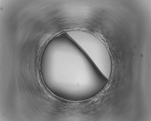 X0000089430097200706291324