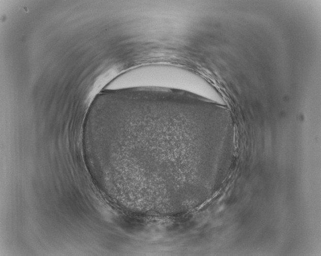 X0000089430099200706291324