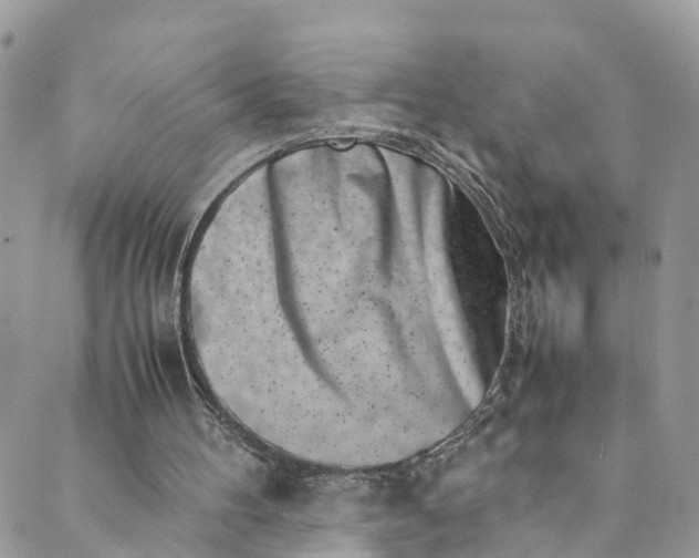 X0000089430100200706291324