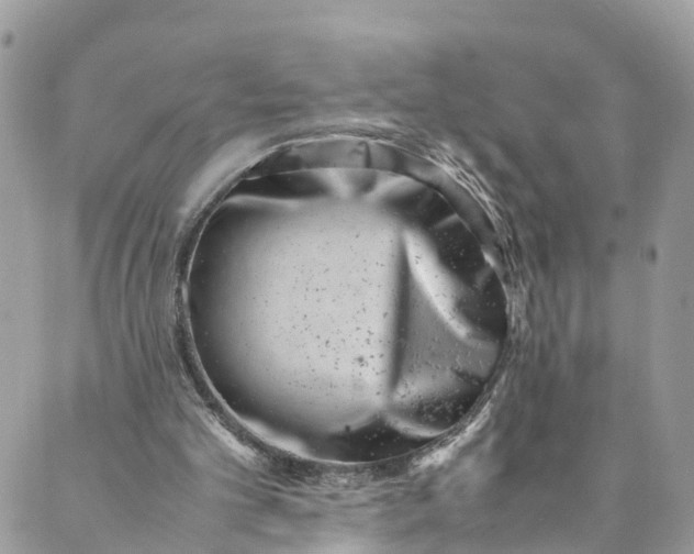 X0000089430101200706291324