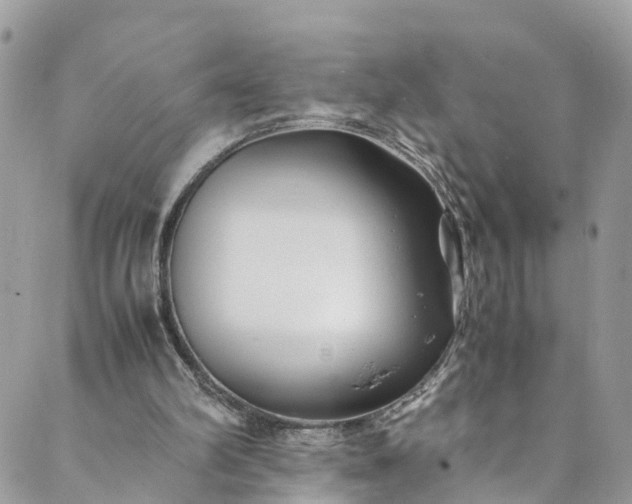 X0000089430102200706291324