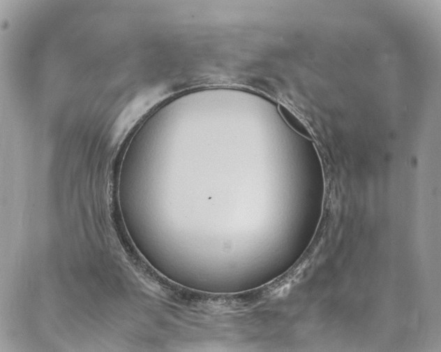 X0000089430103200706291324