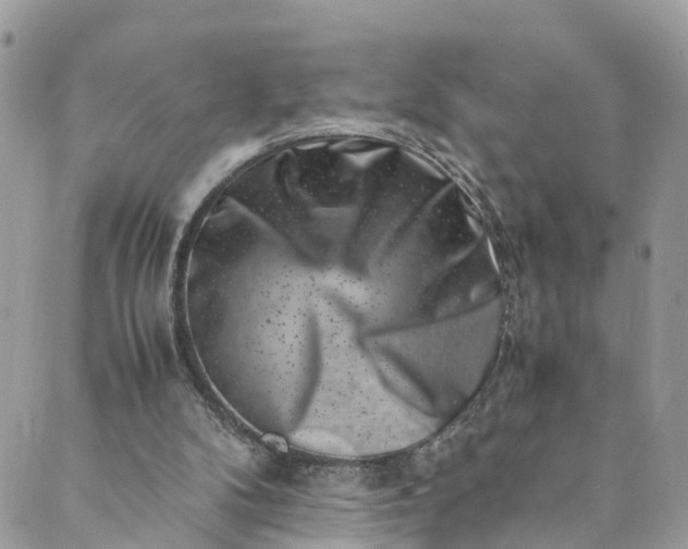 X0000089430104200706291324