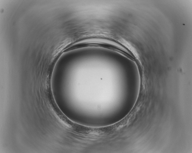 X0000089430105200706291324