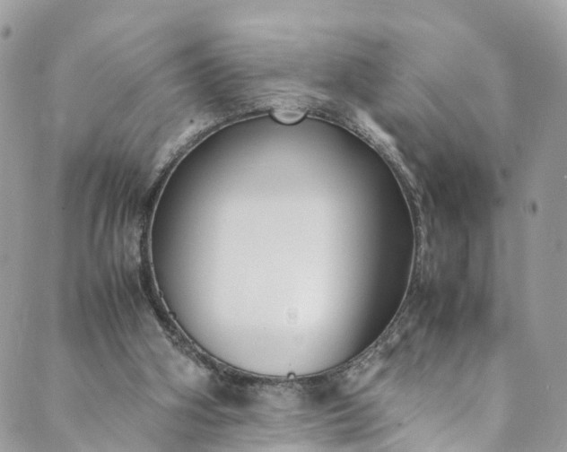 X0000089430106200706291324