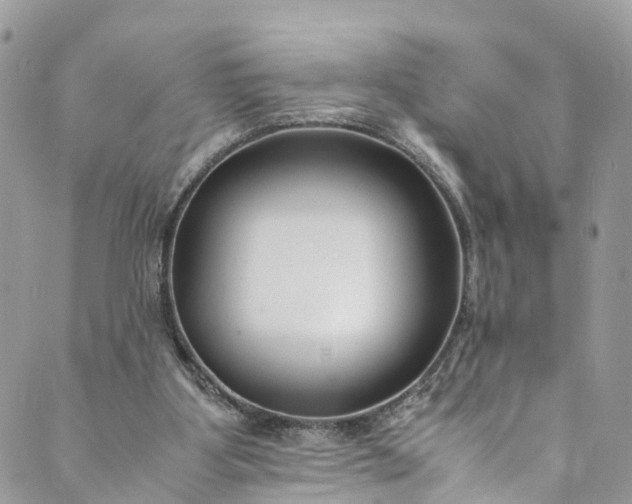 X0000089430107200706291324