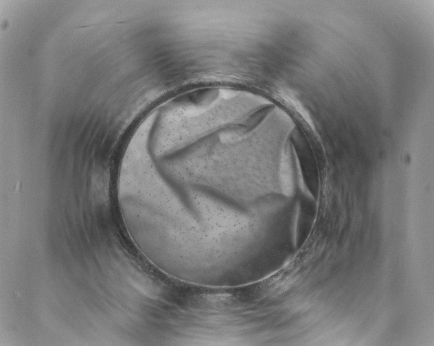 X0000089430108200706291324