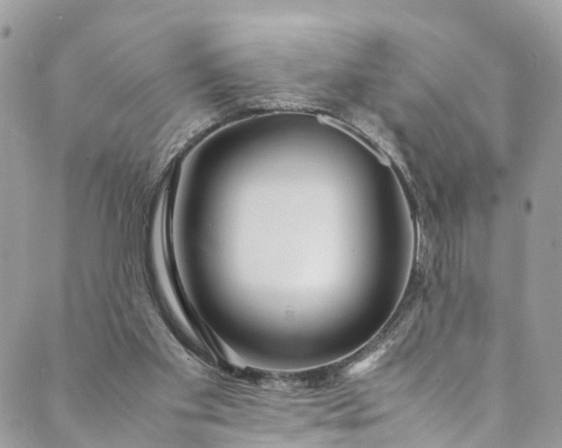 X0000089430109200706291324