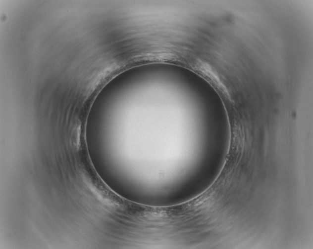 X0000089430110200706291324