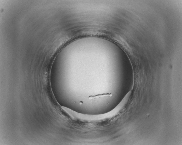 X0000089430111200706291324