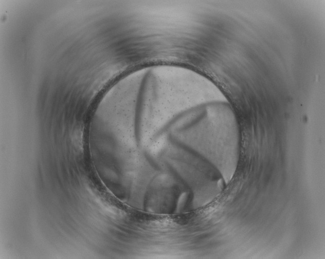 X0000089430112200706291324