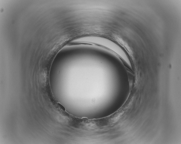 X0000089430113200706291324