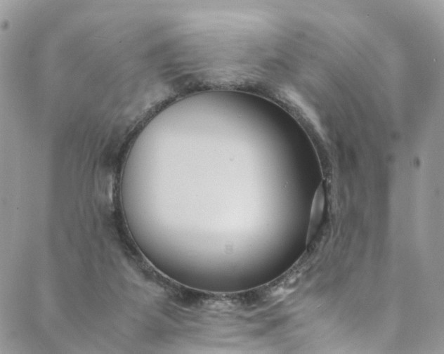 X0000089430115200706291324