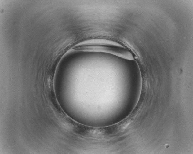 X0000089430117200706291324