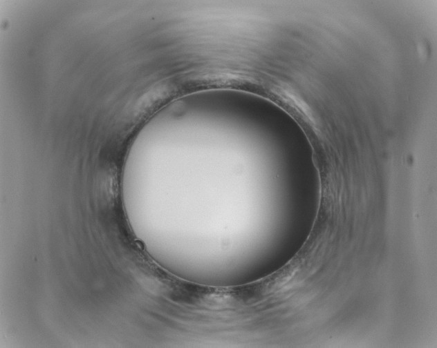 X0000089430119200706291324