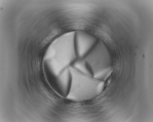 X0000089430120200706291324