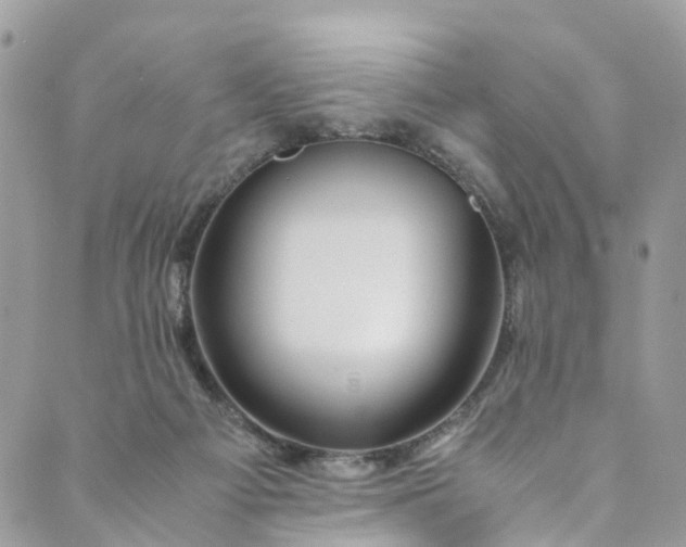 X0000089430121200706291324