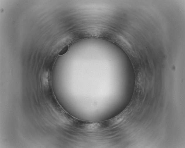 X0000089430122200706291324