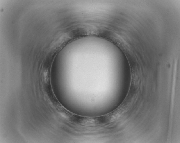 X0000089430123200706291324