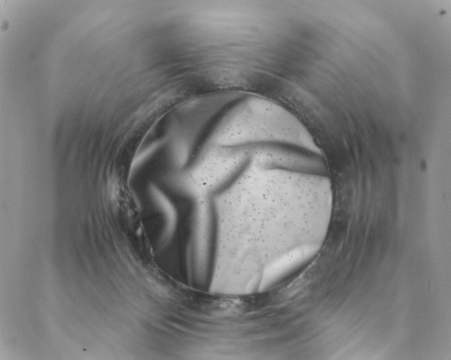 X0000089430124200706291324