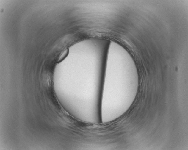 X0000089430125200706291324