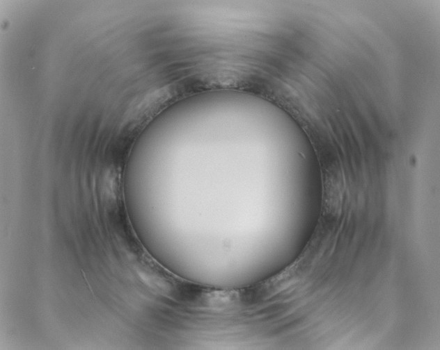 X0000089430126200706291324