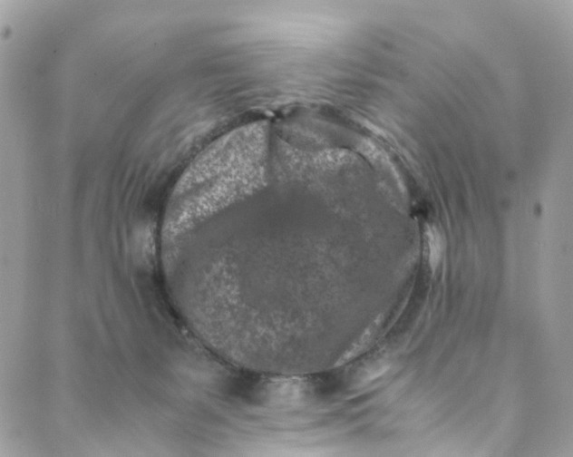 X0000089430127200706291324