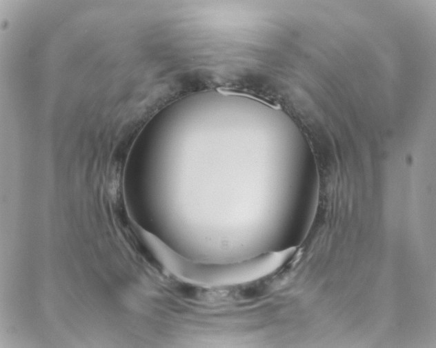 X0000089430129200706291324