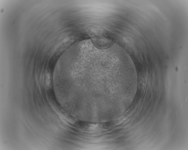 X0000089430130200706291324