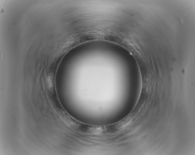 X0000089430131200706291324