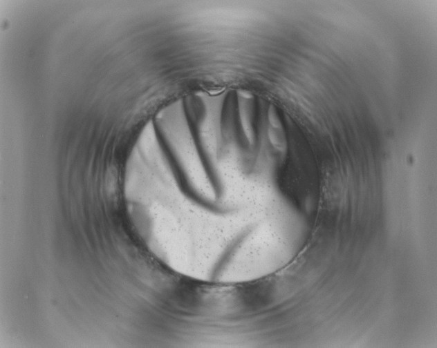 X0000089430132200706291324