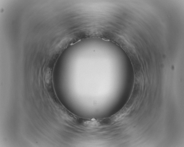 X0000089430133200706291323