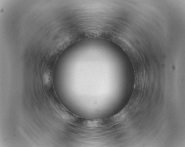 X0000089430134200706291323