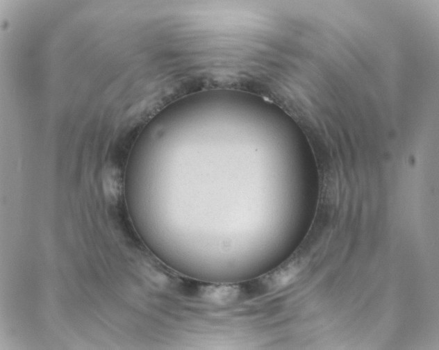 X0000089430135200706291323