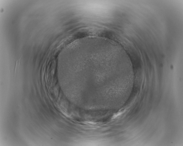 X0000089430137200706291323