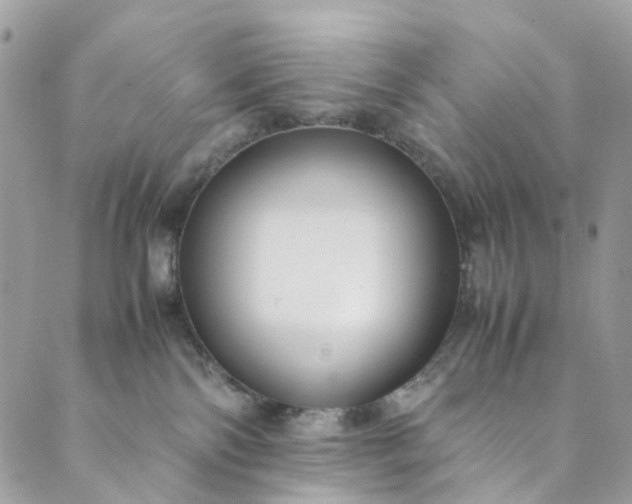 X0000089430138200706291323