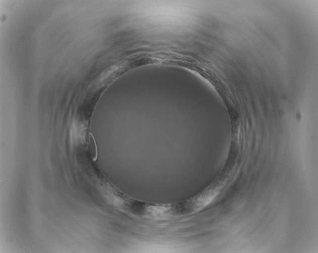 X0000089430139200706291323